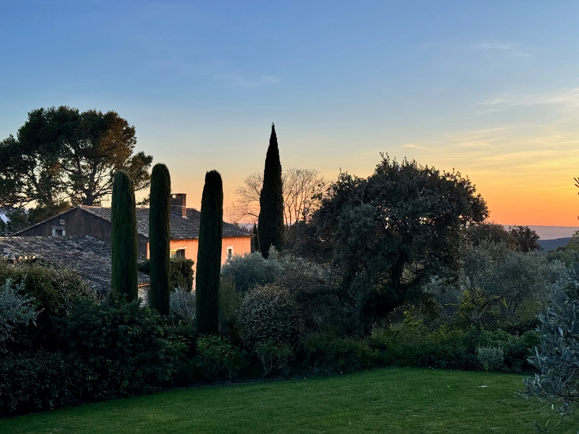 Sunset over the Luberon, cypresses and olive trees in the foreground